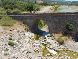 bridge-n-of-assos-3